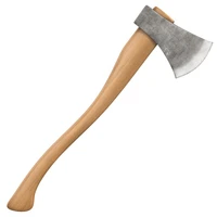 Định nghĩa & cách phát âm từ axe