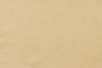 Định nghĩa & cách phát âm từ buff