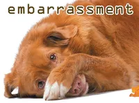 Định nghĩa & cách phát âm từ embarrassment