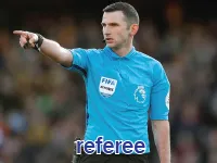 Định nghĩa & cách phát âm từ referee