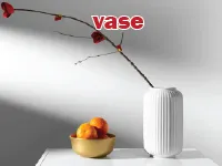 Định nghĩa & cách phát âm từ vase