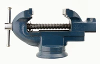 Định nghĩa & cách phát âm từ vice