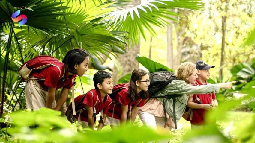 Tổng Hợp Từ Vựng Tiếng Anh Chủ Đề Trại Hè (Summer Camp) Đầy Đủ Nhất