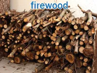 Định nghĩa & cách phát âm từ firewood